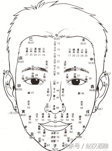 面相年齡圖|【面相年齡】一窺你的面相年齡：用九執流年法、面相學，瞭解你。